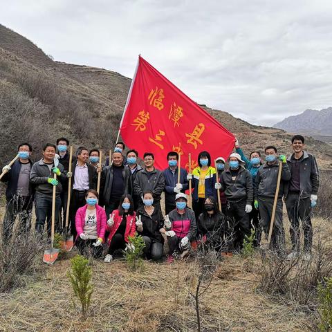临潭县第三中学教职工义务植树活动