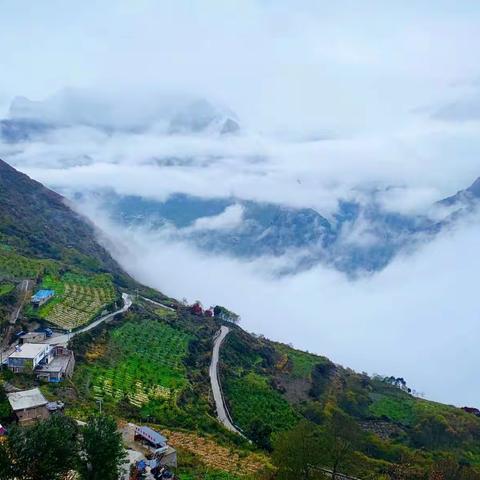 瑛的美篇浮云牧场-位于理县海拔2600米的西山村。在蓝天白云、云雾缭绕的牧场里，我们的心灵仿佛受到了洗礼