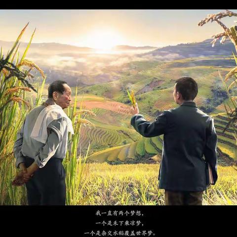 致敬英雄——怀念袁隆平爷爷