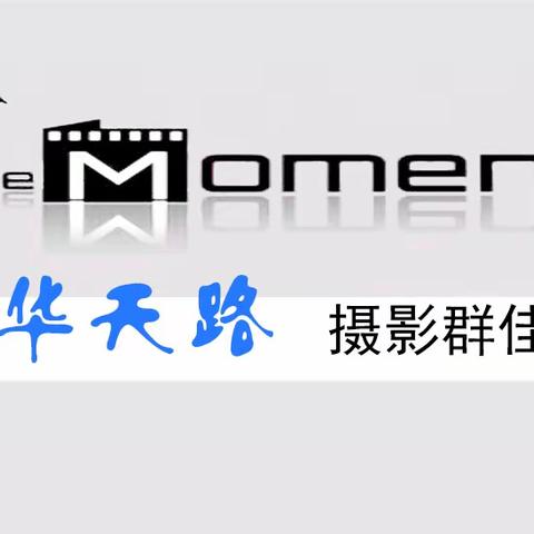 【芳华天路摄影俱乐部】293期美篇精选
