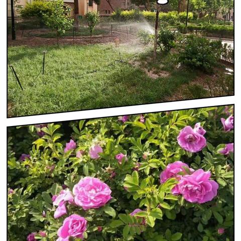 【永泰·剑桥郡】项目部5月份工作简报