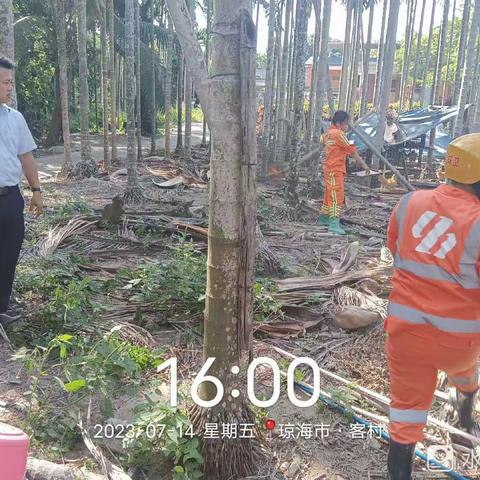 中原镇2023年7月10日-2023年7月16日工作汇报