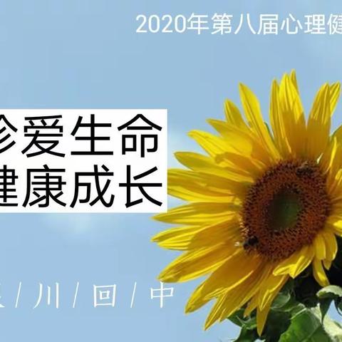 “生如夏花 绚烂多姿”——银川市第十七中学第八届心理健康周活动顺利开展