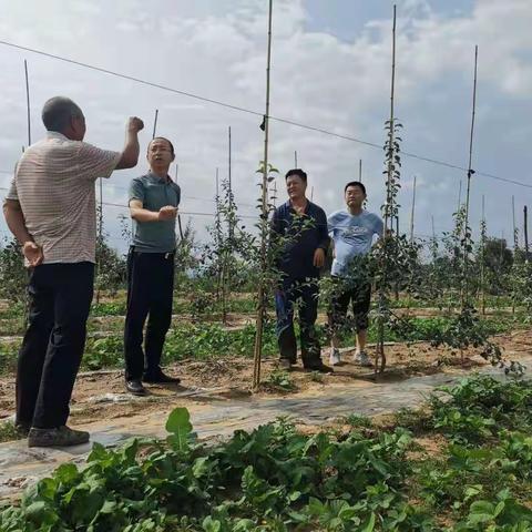 区果业局副局长卜晓愚在临镇镇仼家塬村举办矮化密植培训班