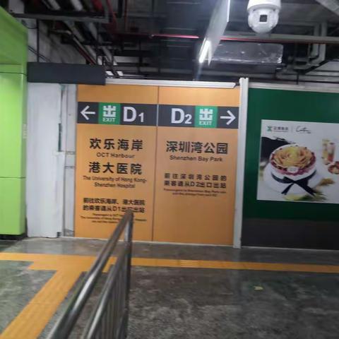 重阳节聚会在深圳湾