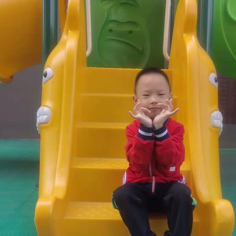 初心见证成长,相伴成就未来——泰林青葵幼儿园大二班杨秉航