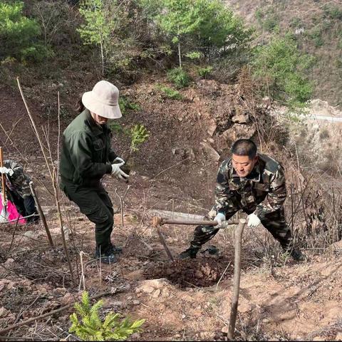 嘎尔隆电站开展义务植树活动