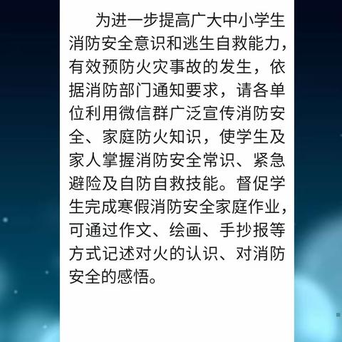 勿忘火警119，平安幸福每一天———南关小学寒假消防安全宣传工作纪实