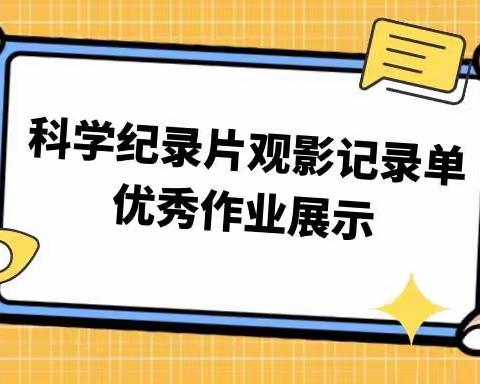 一年级科学纪录片观影单优秀作业展示