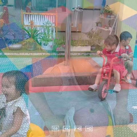 紫荆华韵上城幼儿园小一班 二十二周精彩回顾