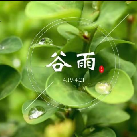 “知是一年谷雨来，万物逢时皆美好”——轵城镇实验幼儿园中班组二十四节气之——“谷雨”主题活动