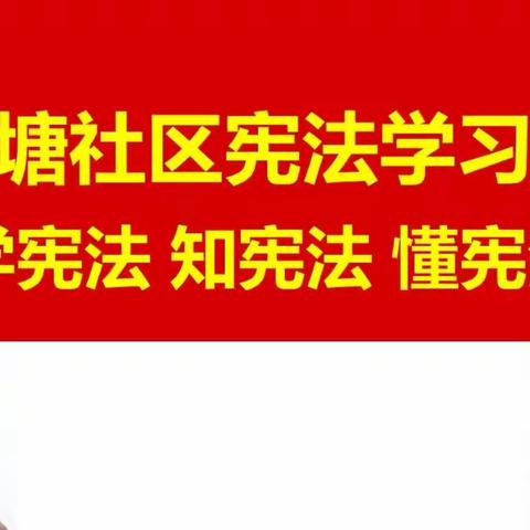 “学宪法、知宪法、懂宪法”象角塘社区联合支部开展主题学习活动