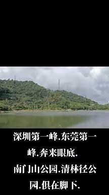 深圳第一峰.东莞第一峰.奔来眼底. 南门山公园.清林径公园.俱在脚下.