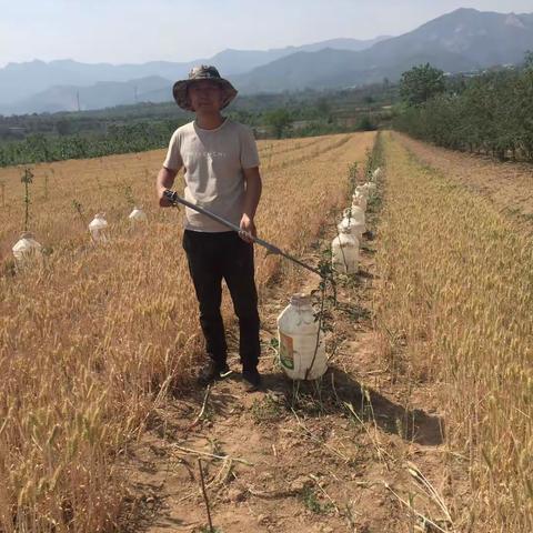 “溪谷花开”家庭农场 樱桃园建设手记（一）