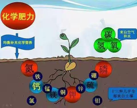 追肥新宠:“沃叶海藻有机氮肥”