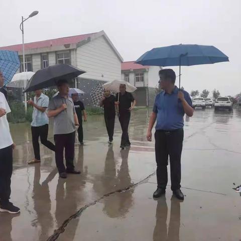 防汛一线践初心，风雨之中担使命——灵井镇各党支部全力投身防汛工作