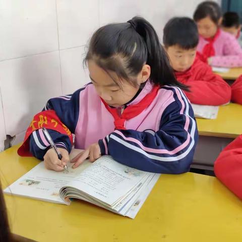 传人文之景  书汉字之美——记中山路小学十一月“双姿”检测活动
