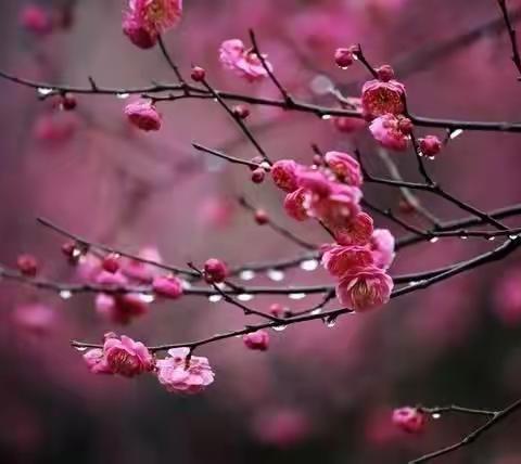 “沐浴书香、润泽幸福”