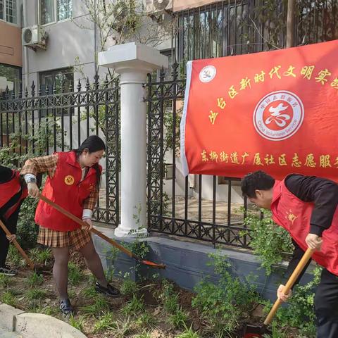 鲜花扮城——愿蔷薇花开满广厦