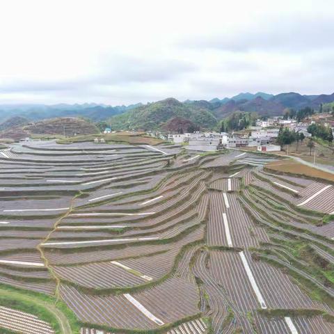 大战在即齐心协力粮草已足