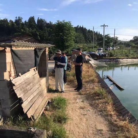 县老科协会长黎搏浪深入日峰镇调研特色农业发展情况