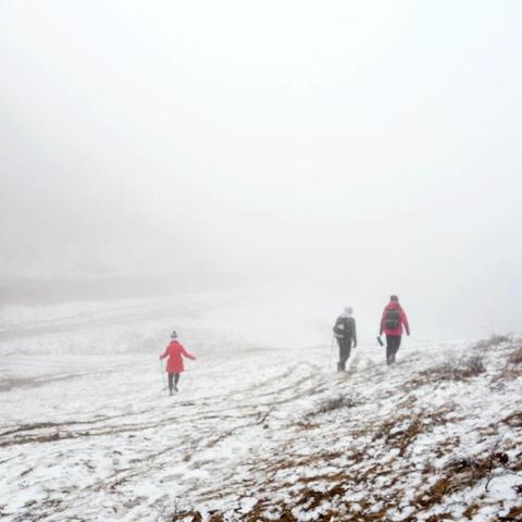 雪如约而至 惟愿流年笑掷 未来可期 七鹿坪