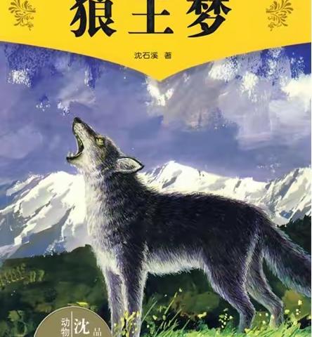 白道子小学六年级“同读一本好书，走进《狼王梦》”读书交流会