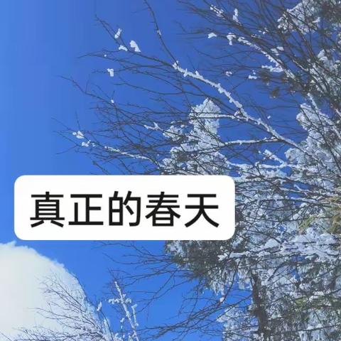 春雪来了(寒潮黄色预警信号)巧家