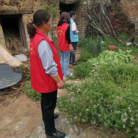 东阿镇黄山村：深入开展禁种铲毒排查行动