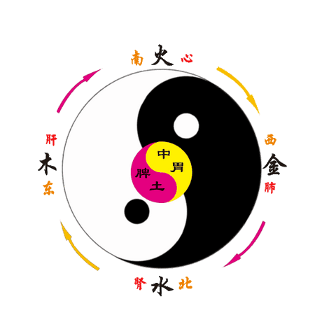 儿童脾胃虚弱的表现
