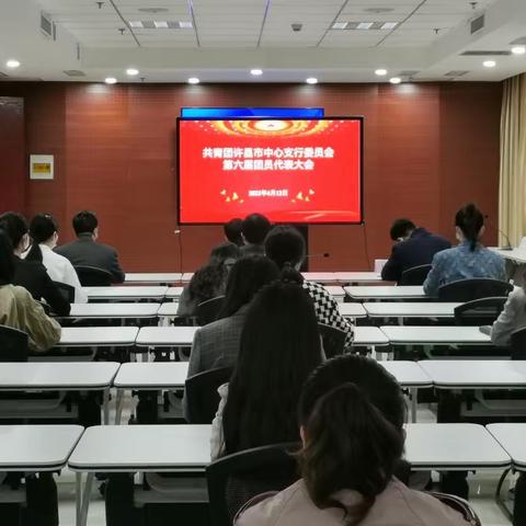 许昌市中支团委组织召开第六届团员代表大会