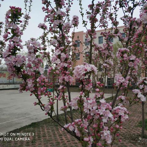 停课不停学，不让一名学生掉队。------贺庄完小家访记录