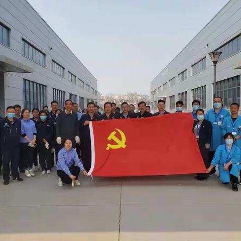 踔厉奋发，笃行不怠，党员在行动--主题党日活动