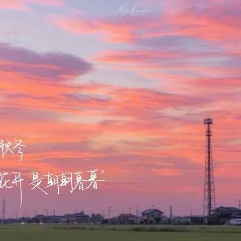 不负“暑”时，精彩一“夏”—2022 级 4 班第四大组优秀作业展