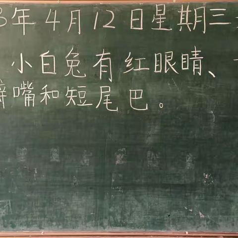 盛京贝斯特双河城幼儿园大四班每日反馈🌈