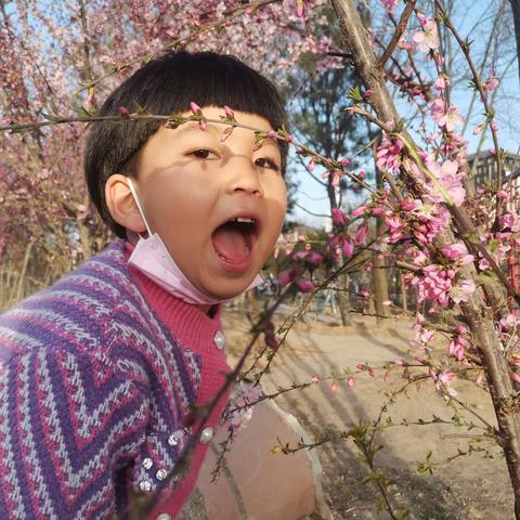 你是我梦里的常客的美篇