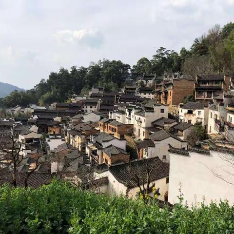 携“未来意识”     开拓语文学习新视野——记教育新视野第九届全国小学语文名师教学观摩活动（上）