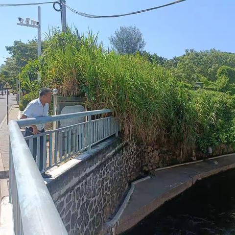 海秀街道2023年7月12日河长制湖长工作每日动态