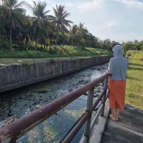 海秀街道2023年7月13日河长制湖长工作每日动态
