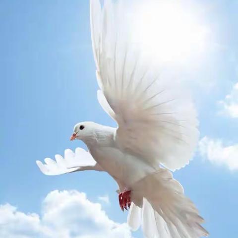 【同题闪小说·春风】归 来