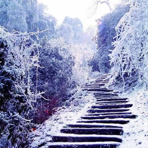 【同题闪小说·春风】风雪夜归人