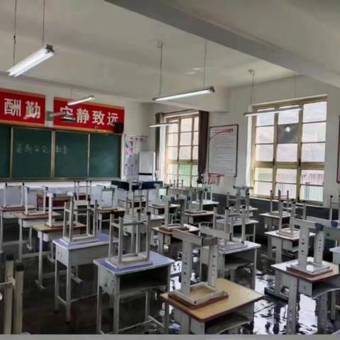 润物细无声,精心育桃李——蔡家坡五星小学六年级班主任姜萌老师教育点滴