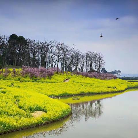 坚守本职，防“疫”同心