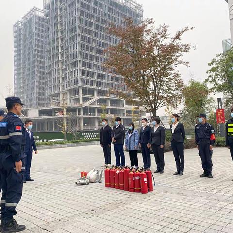 信息港（六期）绿城物业服务周报(11.18）