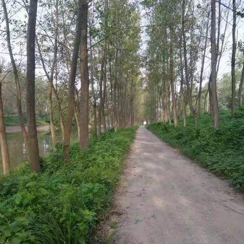 小姑家的世外桃源