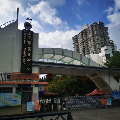 大单元教学促发展，教学生产力再提升！——丹州小学语文教师参加“单元整体教学”研训活动记事