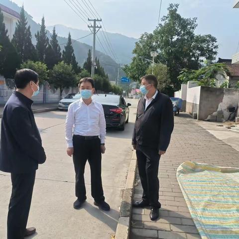袁礼锋深入西口回族镇检查指导工作