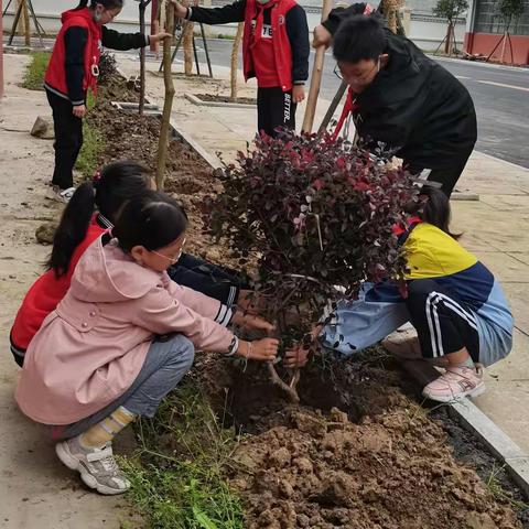 劳动中成长 实践中提高——谷城县第二实验小学劳动实践活动