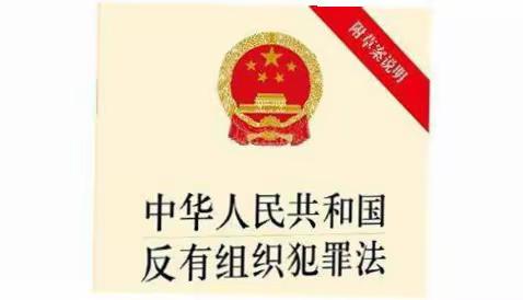 我国刑事诉讼证明标准将由一元走向二元——随着《反有组织犯罪法》的出台