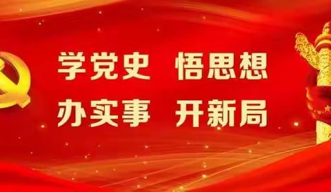 城西支行南川西路北党支部开展党史学习教育专题组织生活会